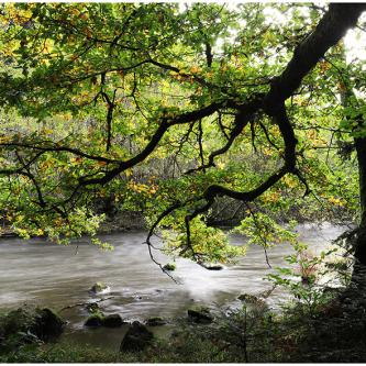 Montfermy © NG 2023